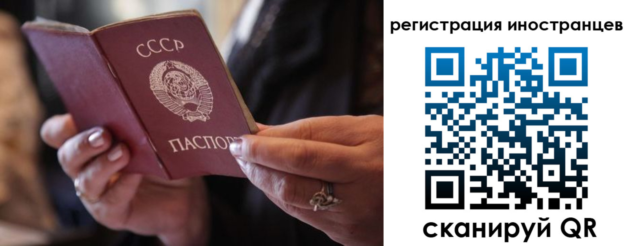 где прописаться в Каменск-Шахтинском